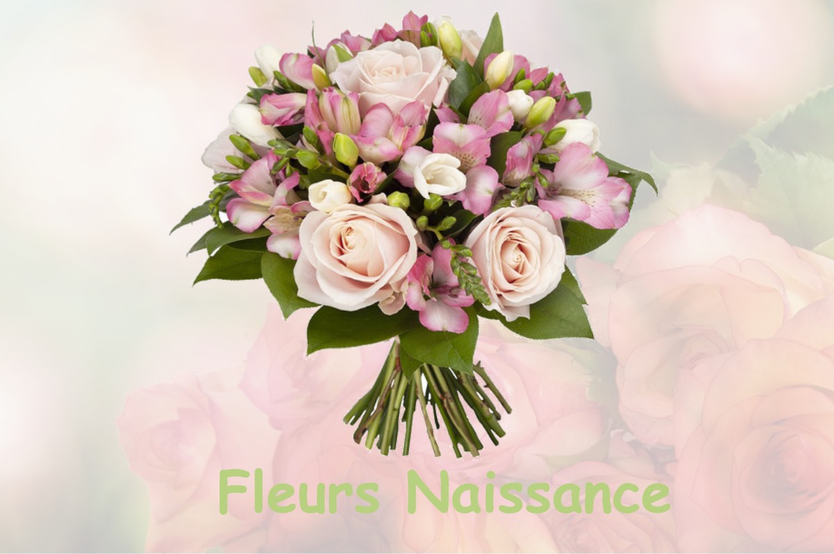 fleurs naissance FONTAINE-LES-COTEAUX